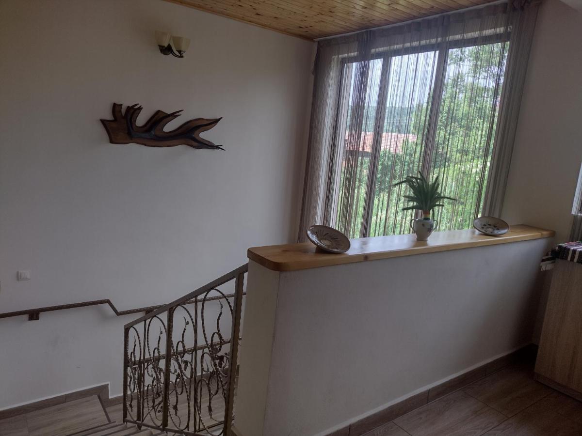 Novaci-Străini Casa Radu 아파트 외부 사진