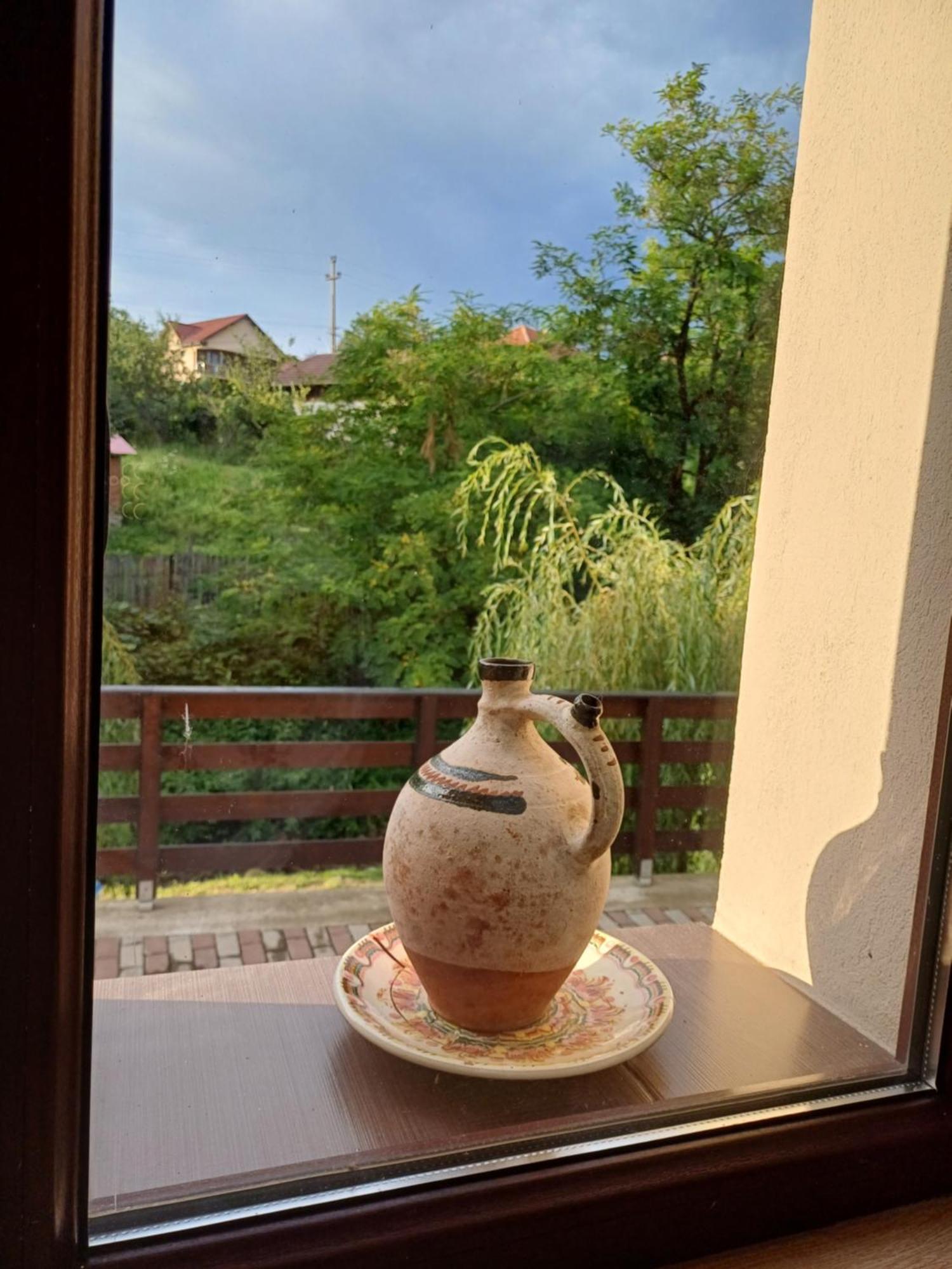 Novaci-Străini Casa Radu 아파트 외부 사진